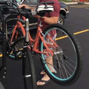 2016 Trek Townie Pink and Teal