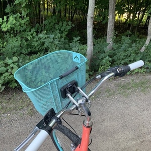 2016 Trek Townie Pink and Teal