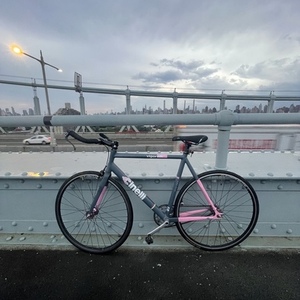2014 Cinelli Vigorelli Vigorosa Pink and Silver, gray or bare metal
