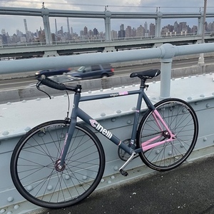 2014 Cinelli Vigorelli Vigorosa Pink and Silver, gray or bare metal