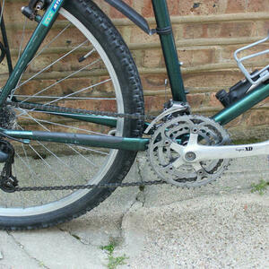 1997 Giant Iguana Green