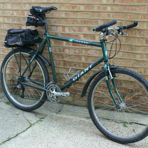 1997 Giant Iguana Green