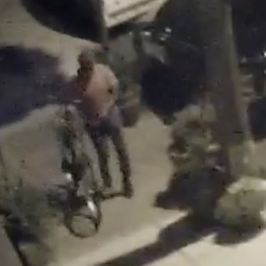 2023 Priority Bicycles Apollo Green