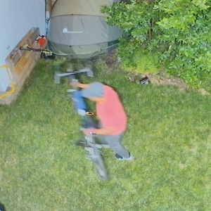 2023 Priority Bicycles Apollo Green