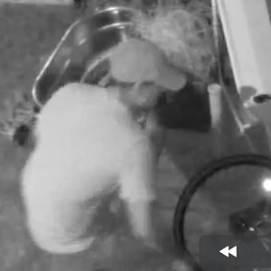 2023 Priority Bicycles Apollo Green