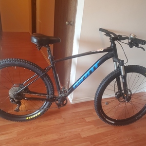 Giant Aluminum Black and Black