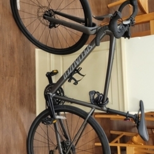 2020 Specialized Diverge Silver, gray or bare metal and Black