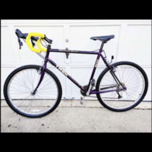 Trek 800 Purple