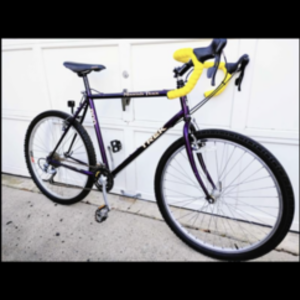 Trek 800 Purple