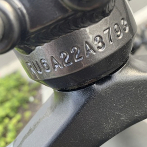 2022 Rad Power Bikes RadRover Black