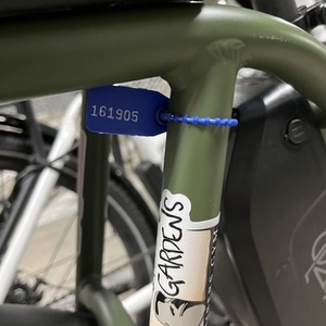 2022 Rad Power Bikes RadRunner 2 Green