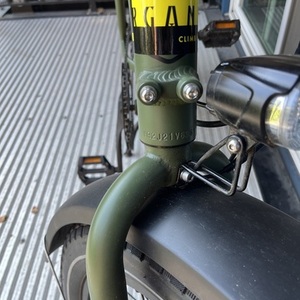 2022 Rad Power Bikes RadRunner 2 Green