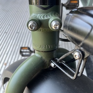 2022 Rad Power Bikes RadRunner 2 Green