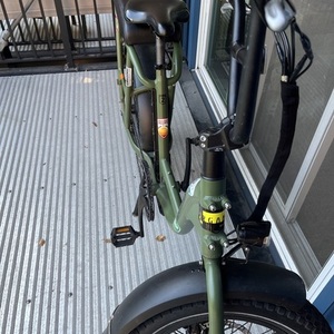 2022 Rad Power Bikes RadRunner 2 Green