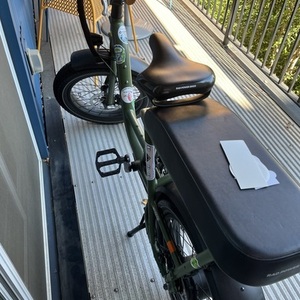 2022 Rad Power Bikes RadRunner 2 Green