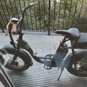 2022 Rad Power Bikes RadRunner 2 Green