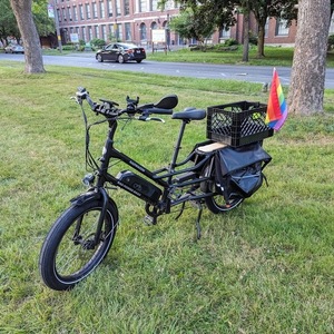 2021 Rad Power Bikes Rad Wagon cargo bike (rear storage) Black