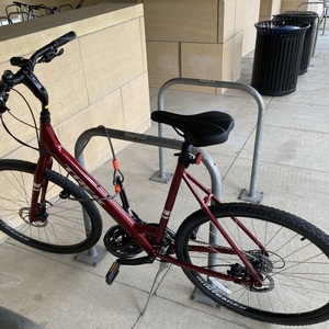 2021 Trek VERVE 2 DISC LOW STEP XL RD Red