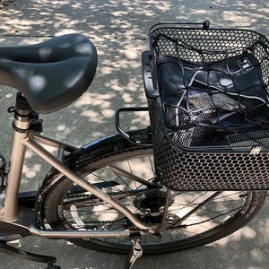 2022 Trek Lowstep