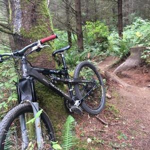 2004 Jamis XLT Dakar 3.0 Silver or Gray and Black