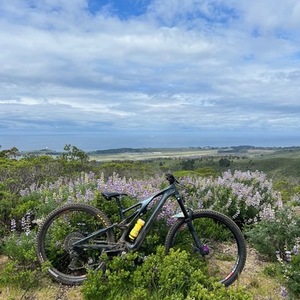 2022 Specialized Stumpjumper Evo Expert Blue