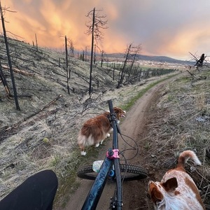 2022 Specialized Stumpjumper Evo Expert Blue