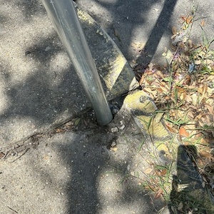 Kent Beach cruiser Silver, gray or bare metal