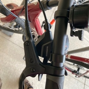 2021 Trek VERVE 2 DISC LOW STEP XL RD Red