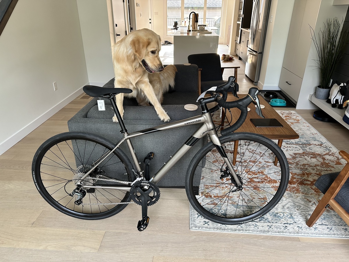 Bike photo