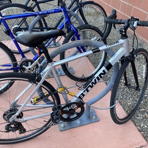 2020 Triban Silver, gray or bare metal