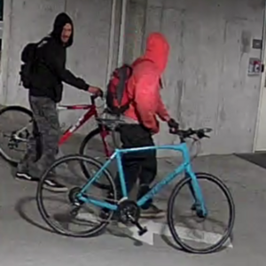 2015 Kona Dew Plus Black