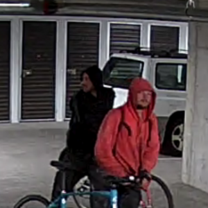 2015 Kona Dew Plus Black