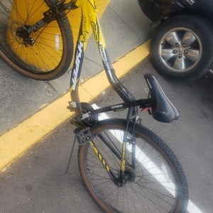 2023 Hyper Viking trail Black and Yellow or Gold