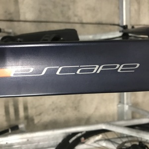 Giant Escape 2 Silver, gray or bare metal