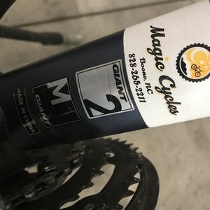 Giant Escape 2 Silver, gray or bare metal