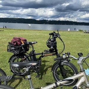 2020 Rad Power Bikes Rad Mini Black