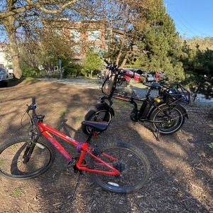 2020 Rad Power Bikes Rad Mini Black