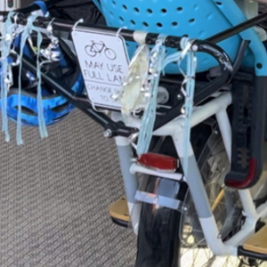 2021 Rad Power Bikes Radwagon 4 White