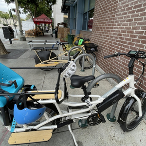 2021 Rad Power Bikes Radwagon 4 White