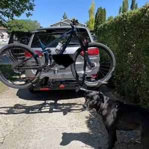 2020 Trek Fuel ex 7 Black and Blue