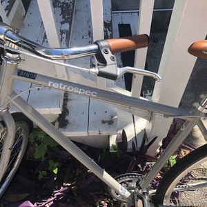 Retrospec Silver, gray or bare metal