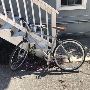 Retrospec Silver, gray or bare metal