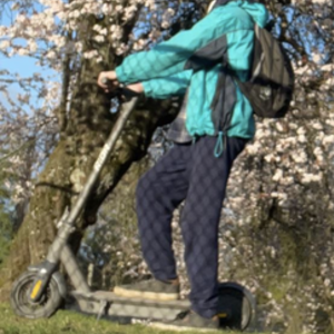 2021 Segway Segway Ninebot Max e-scooter Silver, gray or bare metal