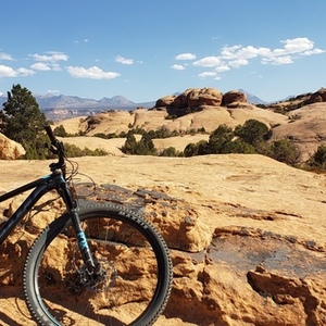 2019 SCOTT Black and Blue