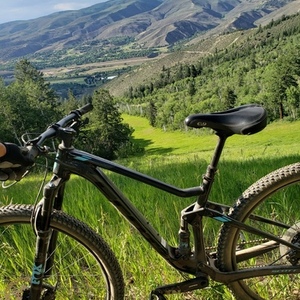 2019 SCOTT Black and Blue