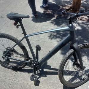 2023 Trek Silver, gray or bare metal