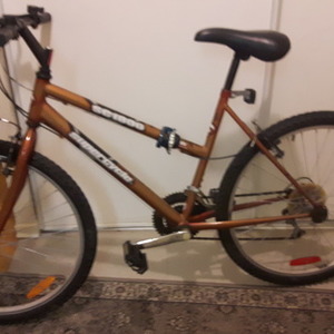 2016 SuperCycle SC1800 Brown