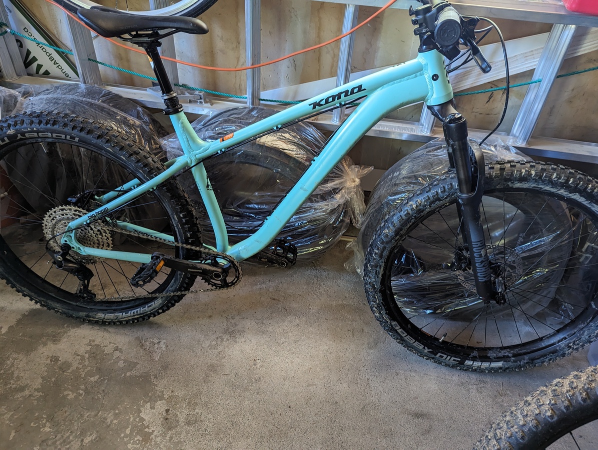 2022 Kona Big Honzo DL