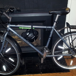 Specialized Rockhopper Silver or Gray