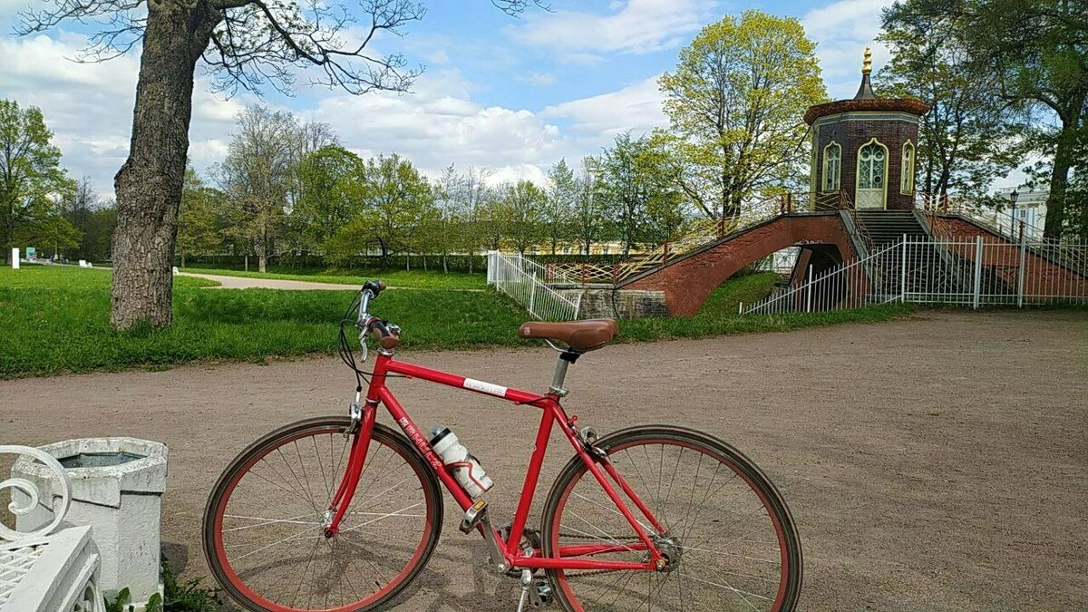 Shulz Roadkiller